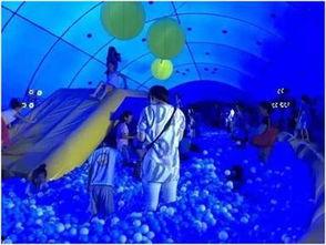 亚洲最大鲸鱼视频,壮丽瞬间捕捉海洋巨兽风采 亚洲最大鲸鱼视频,壮丽瞬间捕捉海洋巨兽风采